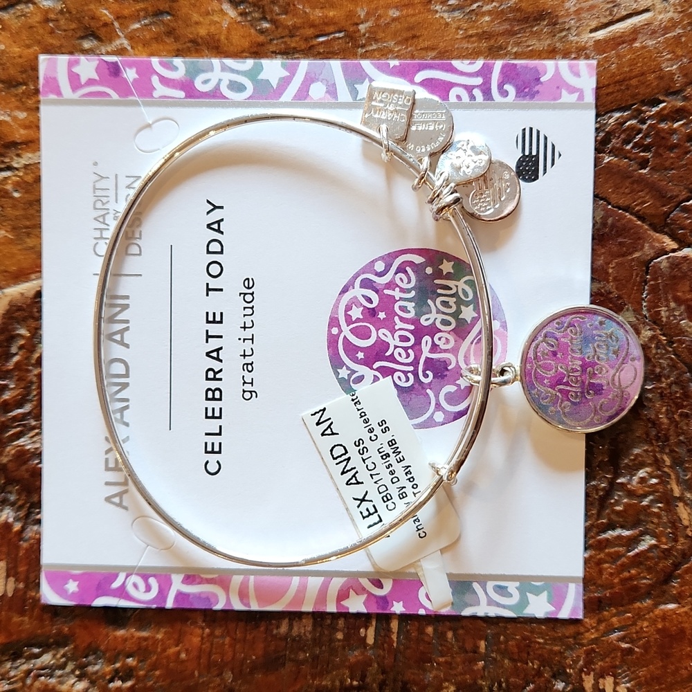 Alex And Ani Bangle Celebrate Today Bracelet Silver